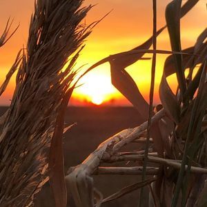 Meet your Posher, Sean